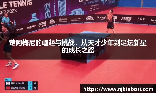世俱杯官方用球